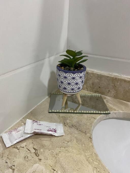 Apartament Flat Elegante E Bem Localizado Feira de Santana Zewnętrze zdjęcie